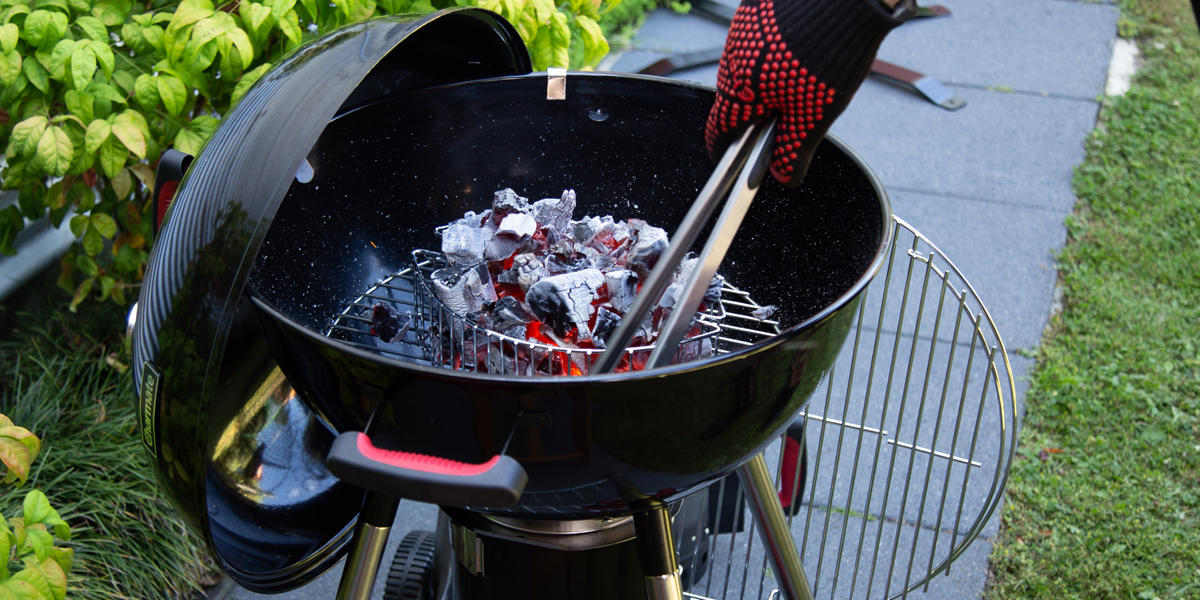 Chicken Nibbles Series 1 Charmate NZ